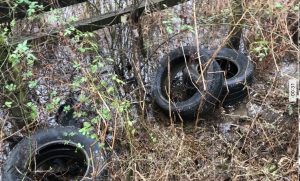 Tires laying in the bushes at Oatland Mills Road